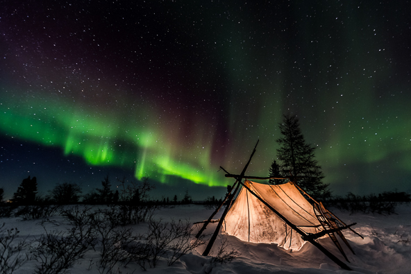 Aurora tent de Meril Darees