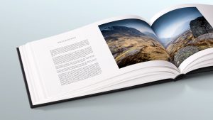 Montier-en-Der 2016 - Le concours - Gaïa de Nicolas Orillard-Demaire
